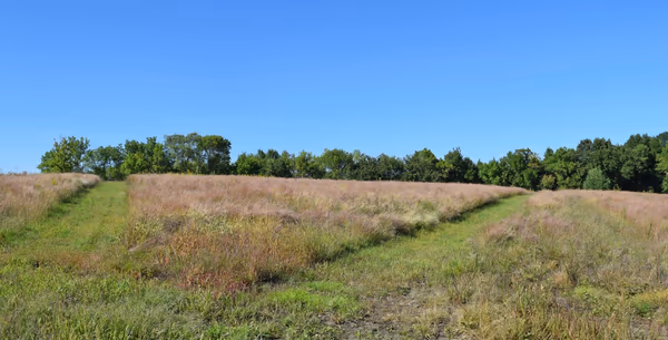 Susan E. Lurton Nature Park and Off Leash Dog Park photo 1